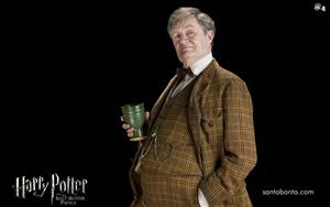 Harry Potter and the Half Blood Prince Harry Potter and the Half Blood Prince